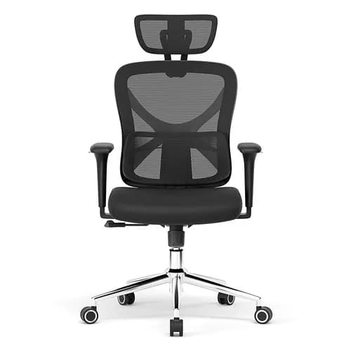 ACGAM CG-5345M Ergonomic Office Chair with 3D Armrest & Mesh Back