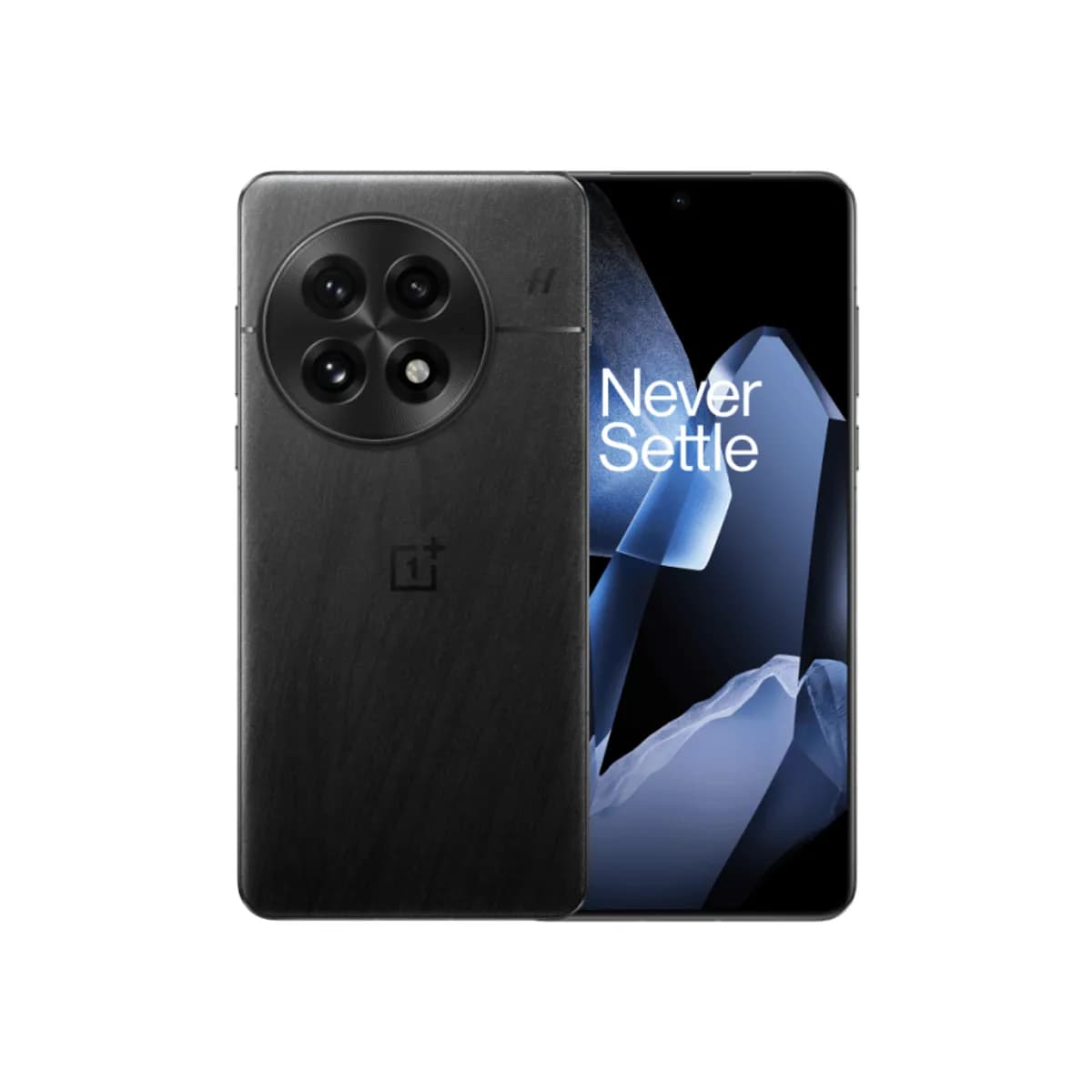 OnePlus 13